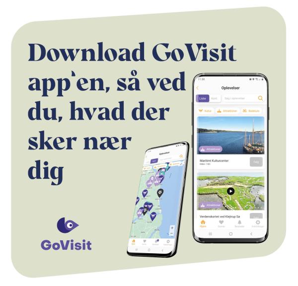 GoVisit app