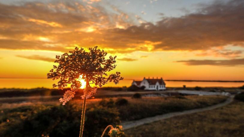 Solnedgang over Limfjorden i Himmerland