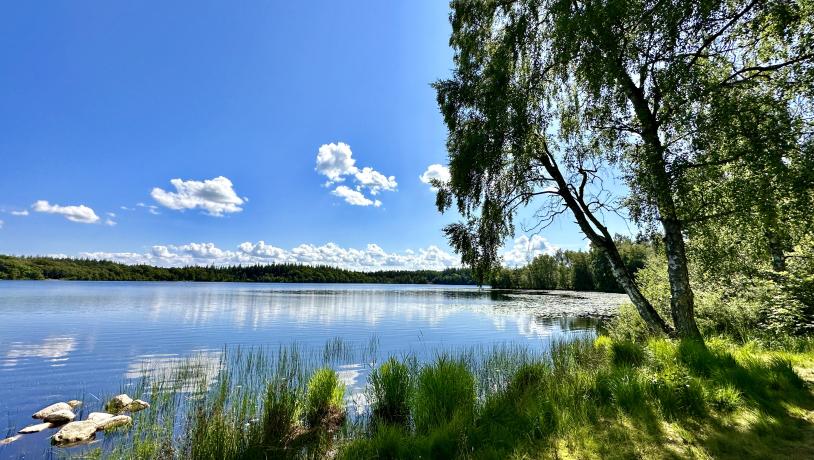 Store Økssø, Rold Skov