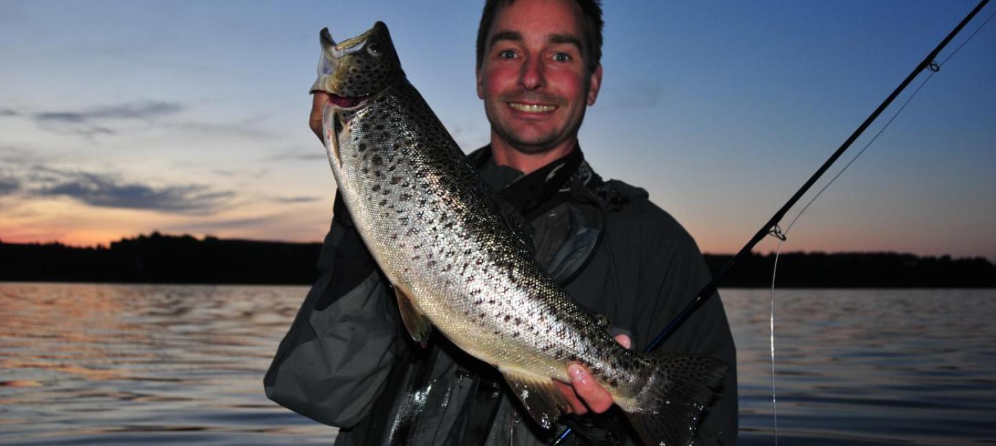 Seatrout Mariagerfjord - Love og regler