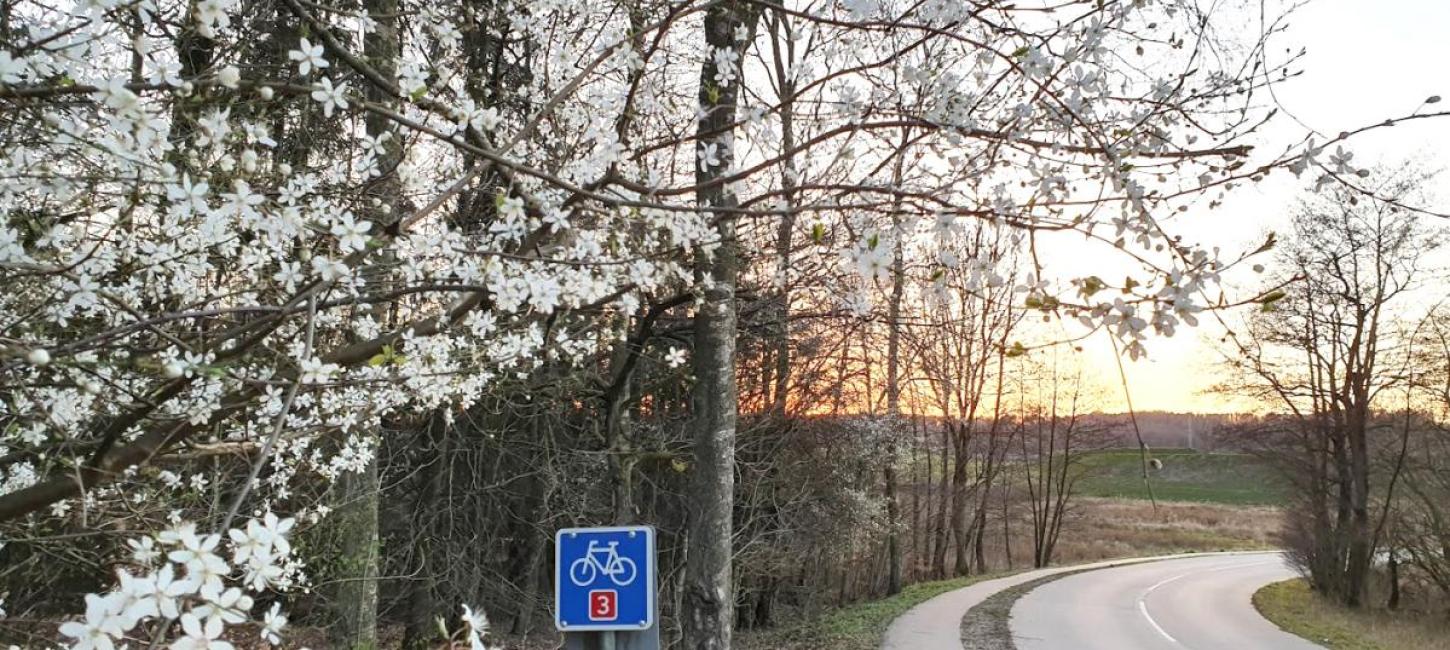 Forår, Hærvejen, cykelrute