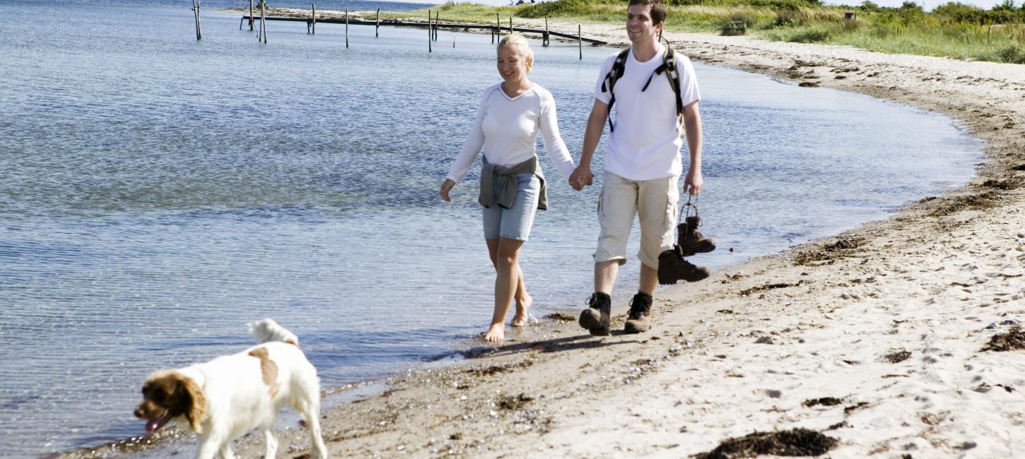 Ferie med hund