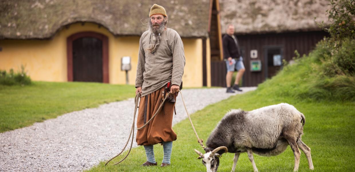Vikingemuseum Fyrkat