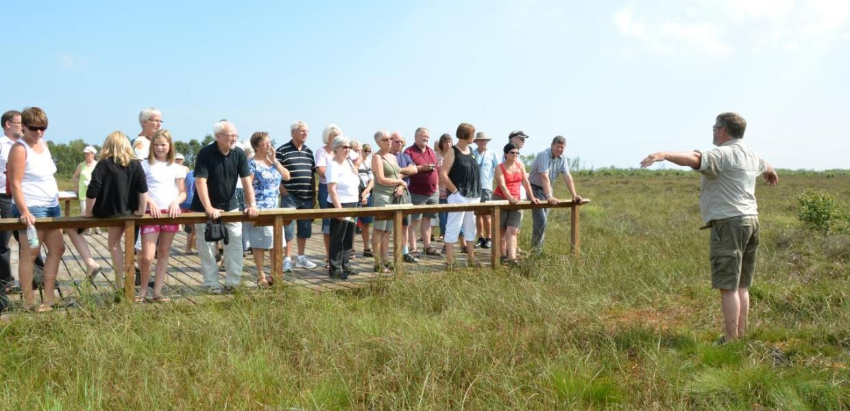 Guidet tur i Lille Vildmose