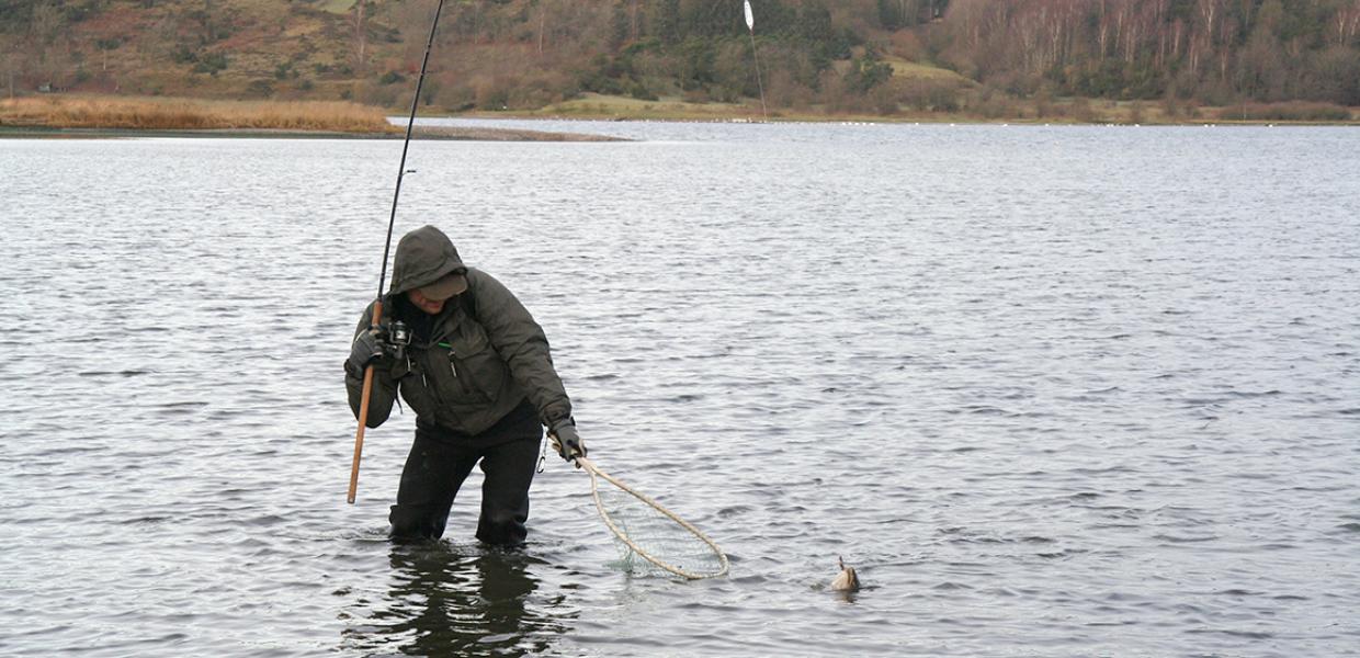 Vinter ved Mariager Fjord - fiskeri