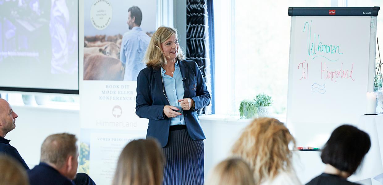 Møder og konferencer