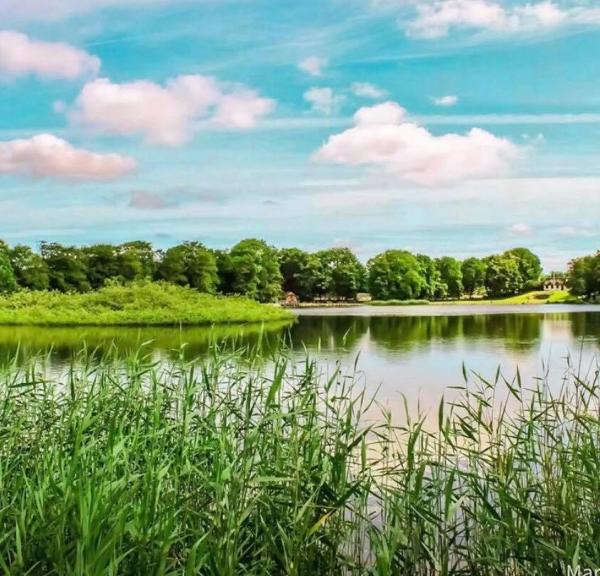 Farsø