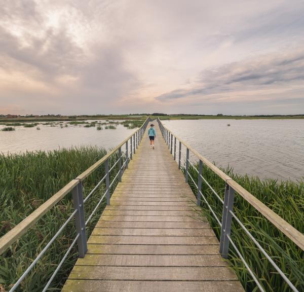 Vilsted Sø - vandring i Himmerland