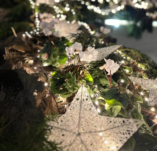 Juleudstilling Aars