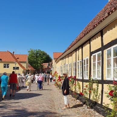 Grupper og busselskaber - Mariager