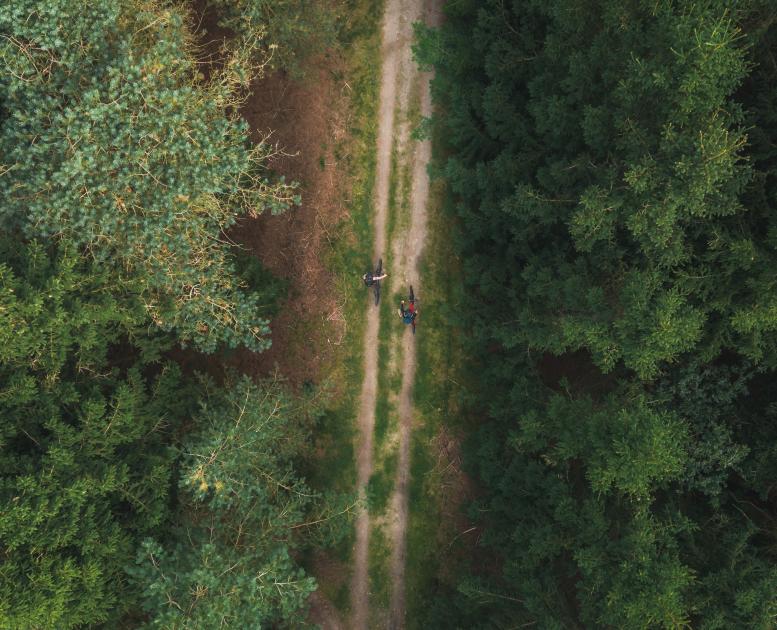 På cykel i naturen i Himmerland