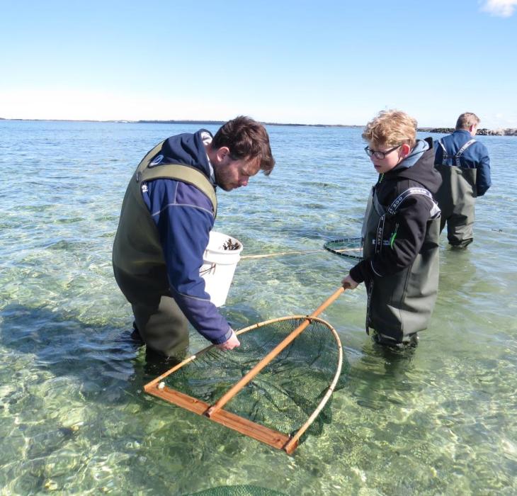 Sommeraktiviteter ved Limfjordsmuseet