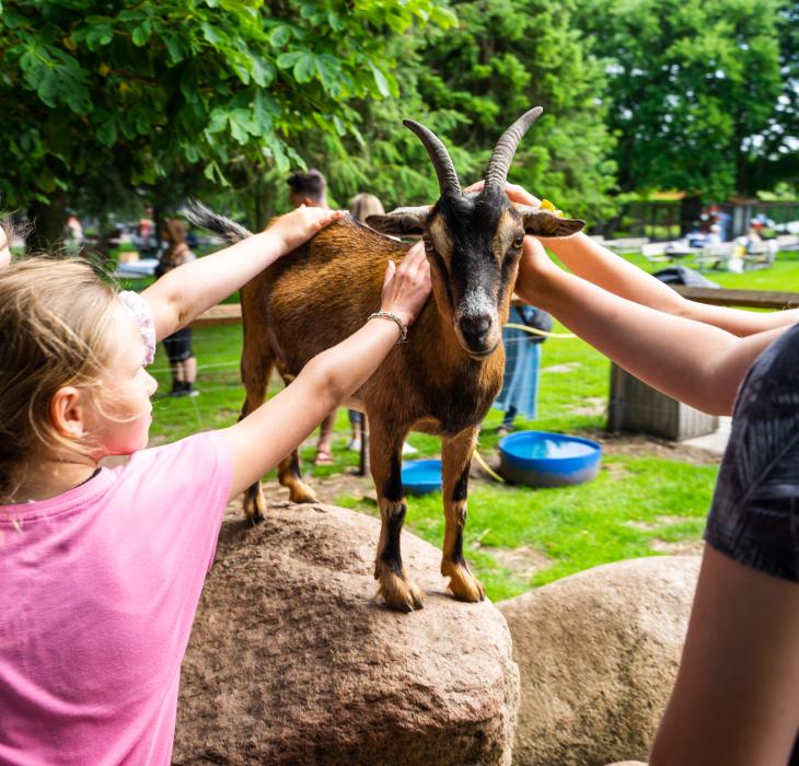 Verdenskortet, Børn klapper ged