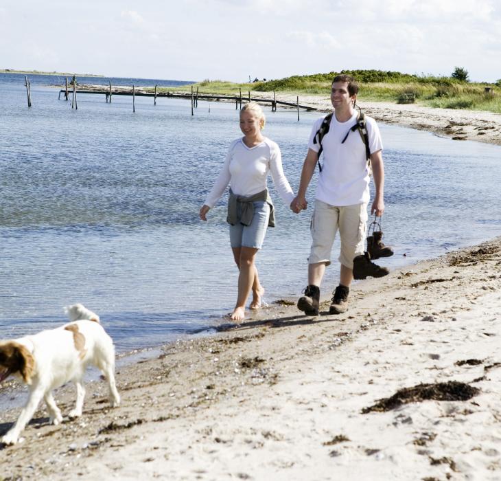 Ferie med hund